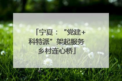 宁夏：“党建+科特派”架起服务乡村连心桥