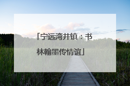 宁远湾井镇：书林翰墨传情谊