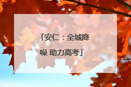 安仁：全城降噪 助力高考