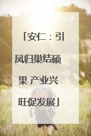 安仁：引凤归巢结硕果 产业兴旺促发展