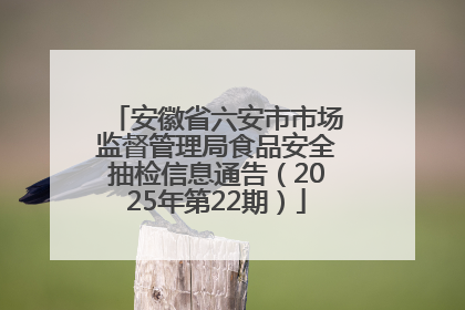 安徽省六安市市场监督管理局食品安全抽检信息通告（2025年第22期）