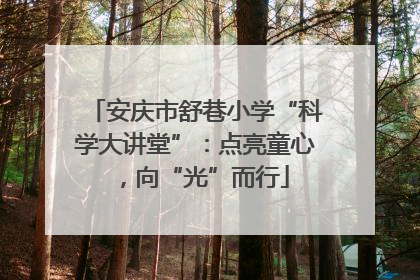 安庆市舒巷小学“科学大讲堂”：点亮童心，向“光”而行