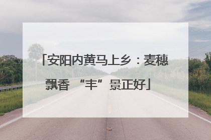 安阳内黄马上乡：麦穗飘香 “丰”景正好