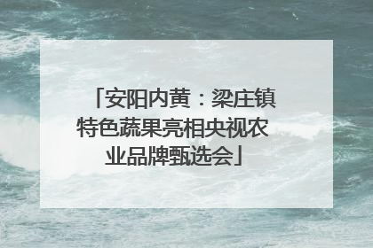 安阳内黄：梁庄镇特色蔬果亮相央视农业品牌甄选会