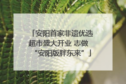 安阳首家非遗优选超市盛大开业 志做“安阳版胖东来”