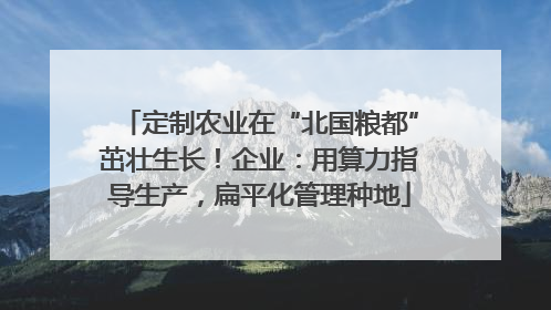 定制农业在“北国粮都”茁壮生长！企业：用算力指导生产，扁平化管理种地