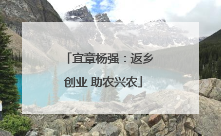 宜章杨强：返乡创业 助农兴农