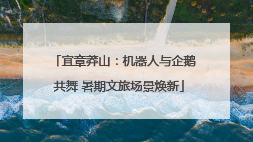 宜章莽山：机器人与企鹅共舞 暑期文旅场景焕新