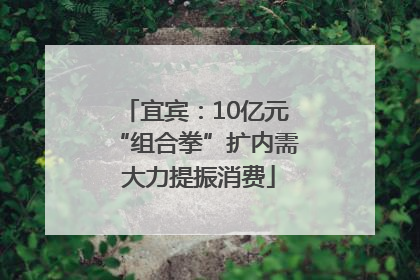 宜宾：10亿元“组合拳”扩内需 大力提振消费