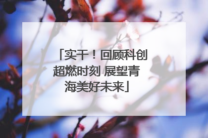实干！回顾科创超燃时刻 展望青海美好未来