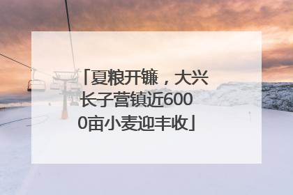 夏粮开镰，大兴长子营镇近6000亩小麦迎丰收