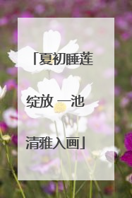 夏初睡莲绽放 一池清雅入画