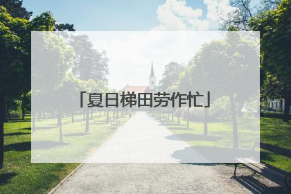 夏日梯田劳作忙