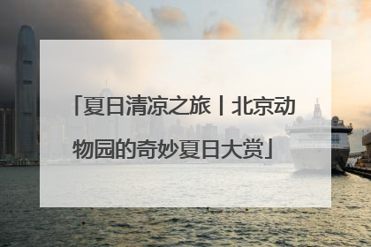 夏日清凉之旅丨北京动物园的奇妙夏日大赏