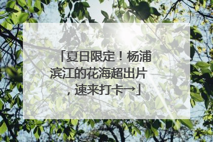 夏日限定！杨浦滨江的花海超出片，速来打卡→