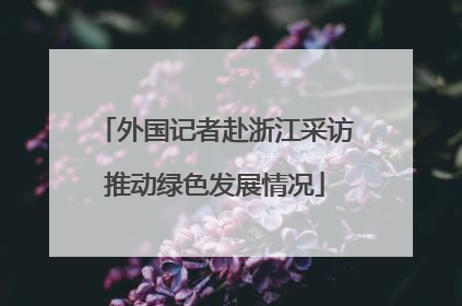 外国记者赴浙江采访推动绿色发展情况