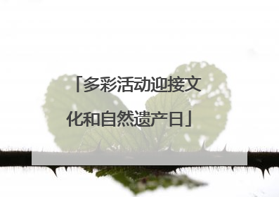 多彩活动迎接文化和自然遗产日