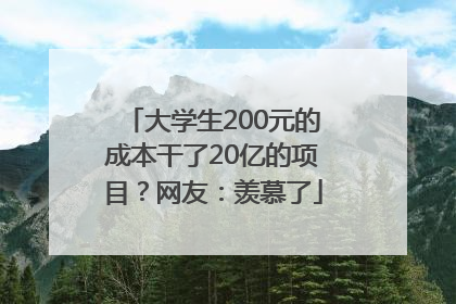 大学生200元的成本干了20亿的项目？网友：羡慕了