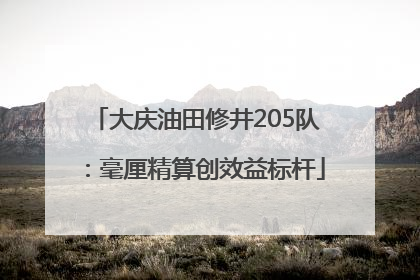 大庆油田修井205队：毫厘精算创效益标杆