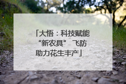 大悟：科技赋能“新农具” 飞防助力花生丰产