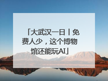 大武汉一日丨免费人少，这个博物馆还能玩AI