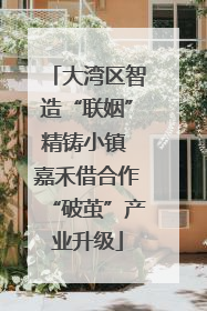 大湾区智造“联姻”精铸小镇 嘉禾借合作“破茧”产业升级
