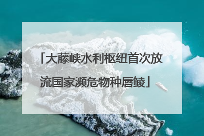 大藤峡水利枢纽首次放流国家濒危物种唇鲮