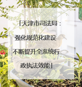 天津市司法局：强化规范化建设 不断提升全系统行政执法效能