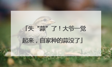 失“蒜”了！大爷一觉起来，自家种的蒜没了