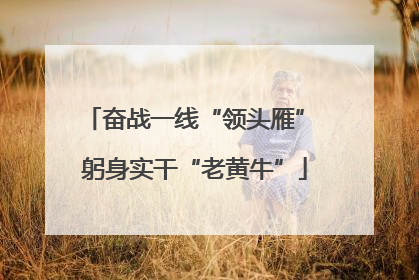 奋战一线“领头雁” 躬身实干“老黄牛”