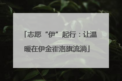 志愿“伊”起行：让温暖在伊金霍洛旗流淌