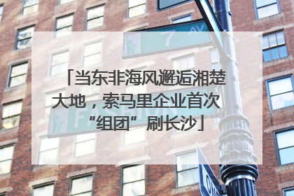 当东非海风邂逅湘楚大地，索马里企业首次“组团”刷长沙
