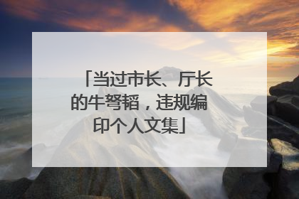 当过市长、厅长的牛弩韬，违规编印个人文集