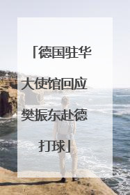 德国驻华大使馆回应樊振东赴德打球