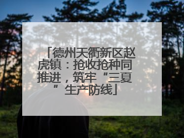 德州天衢新区赵虎镇：抢收抢种同推进，筑牢“三夏”生产防线