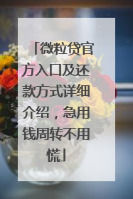 微粒贷官方入口及还款方式详细介绍，急用钱周转不用慌
