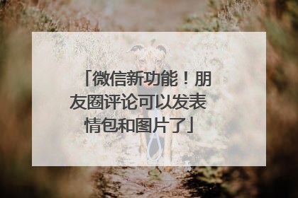 微信新功能！朋友圈评论可以发表情包和图片了