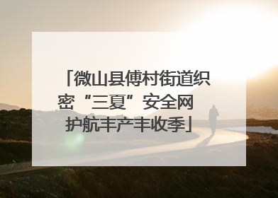 微山县傅村街道织密“三夏”安全网 护航丰产丰收季