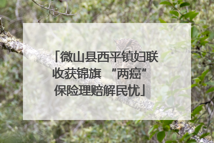 微山县西平镇妇联收获锦旗 “两癌”保险理赔解民忧
