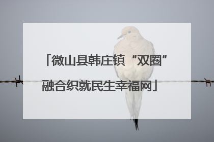 微山县韩庄镇“双圈”融合织就民生幸福网