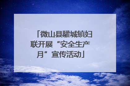 微山县驩城镇妇联开展“安全生产月”宣传活动
