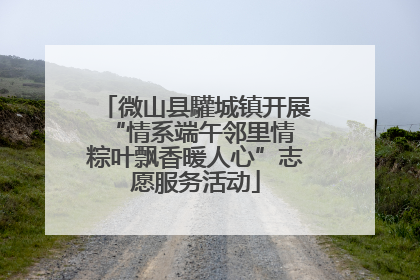 微山县驩城镇开展“情系端午邻里情 粽叶飘香暖人心”志愿服务活动