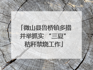 微山县鲁桥镇多措并举抓实 “三夏” 秸秆禁烧工作