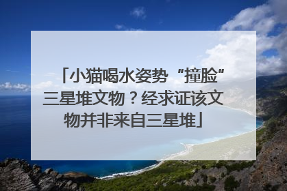 小猫喝水姿势“撞脸”三星堆文物？经求证该文物并非来自三星堆