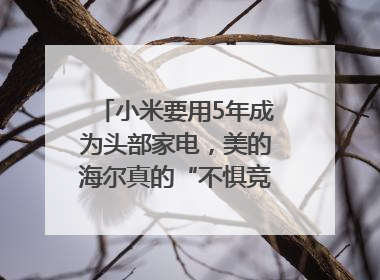 小米要用5年成为头部家电，美的海尔真的“不惧竞争”？｜热财经