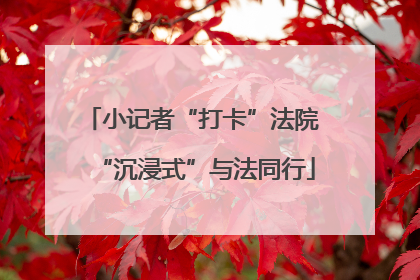 小记者“打卡”法院 “沉浸式”与法同行