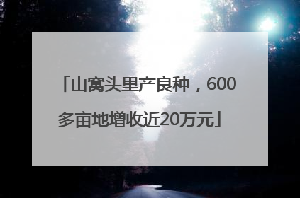 山窝头里产良种，600多亩地增收近20万元