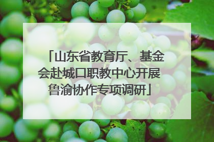 山东省教育厅、基金会赴城口职教中心开展鲁渝协作专项调研
