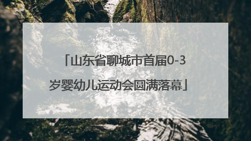 山东省聊城市首届0-3岁婴幼儿运动会圆满落幕
