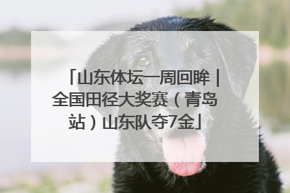 山东体坛一周回眸｜全国田径大奖赛（青岛站）山东队夺7金